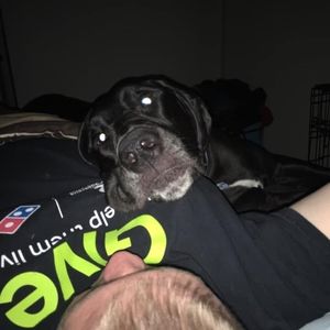 Meet your Posher, Crystal